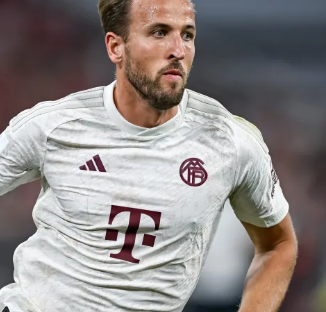 都看到了希 都看到了希